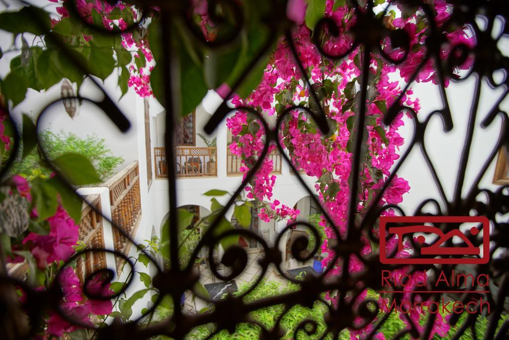 Riad Alma Marrakesch Exterior foto